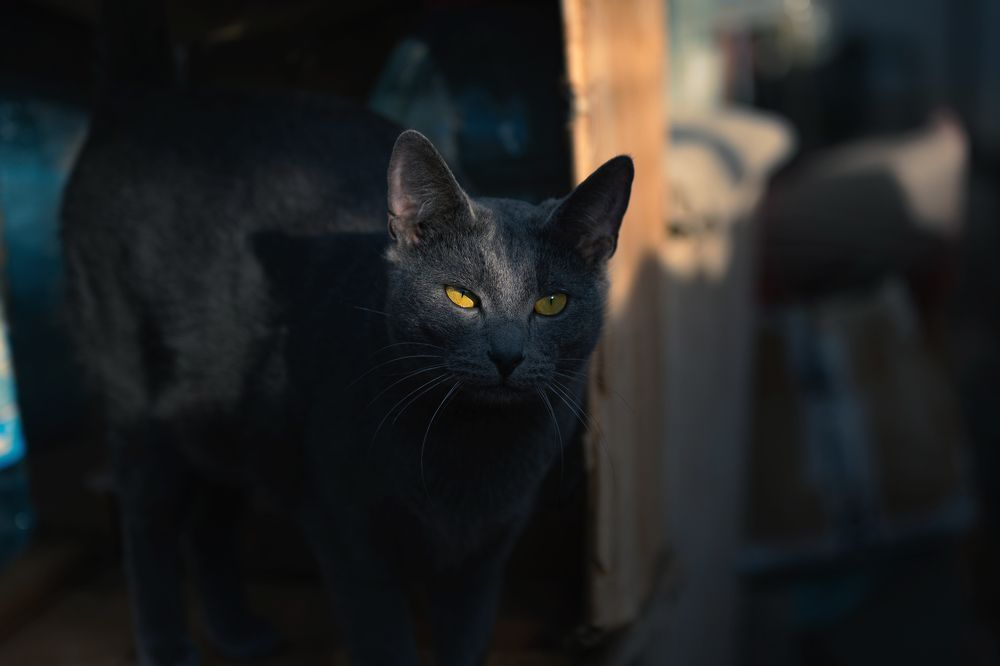 Photograph by Дмитрий Кудрявцев