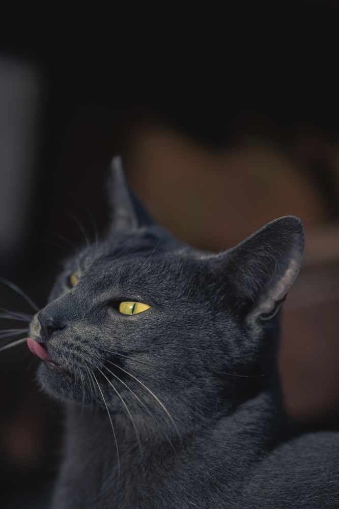 Photograph by Дмитрий Кудрявцев