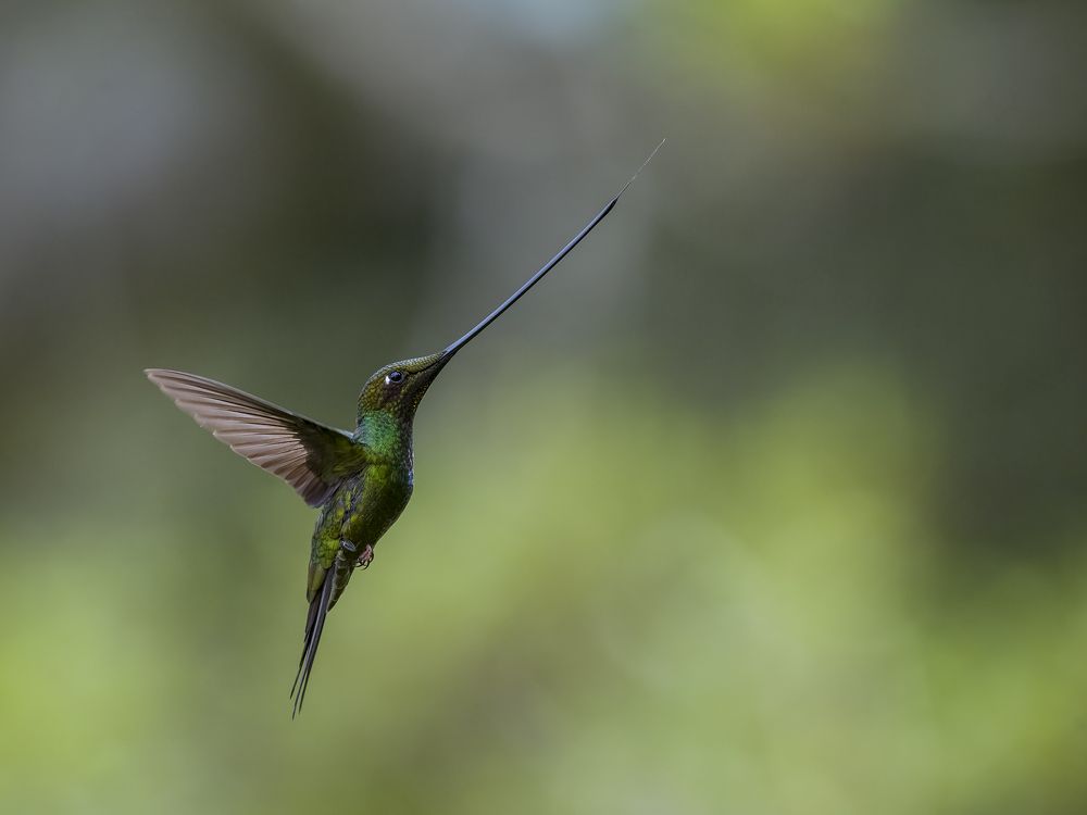 Photograph by Burgalin Sequeira Fernando