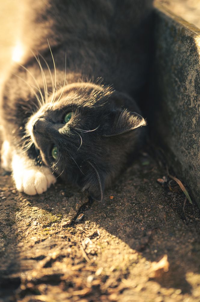 Photograph by Дмитрий Кудрявцев