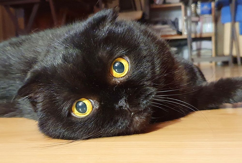 Photograph by Чуева Марина