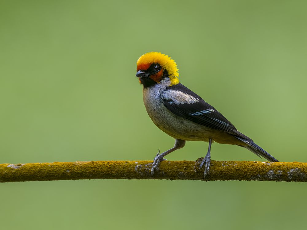 Photograph by Burgalin Sequeira Fernando