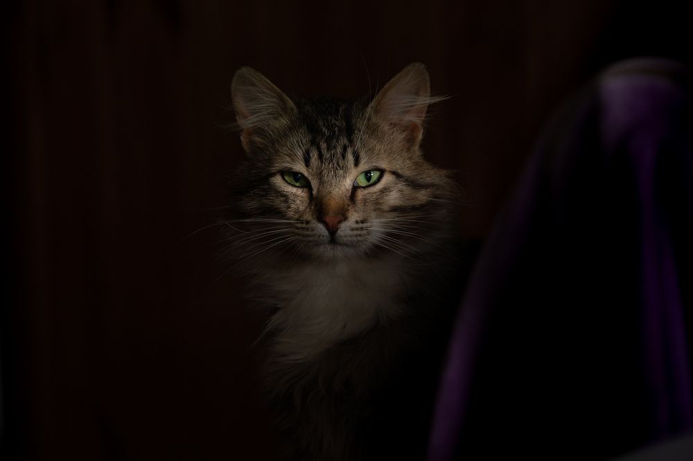 Photograph by Рыков Сергей