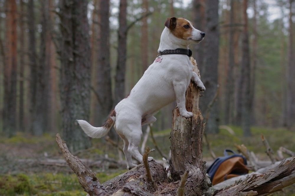 Photograph by Andrei Baburin