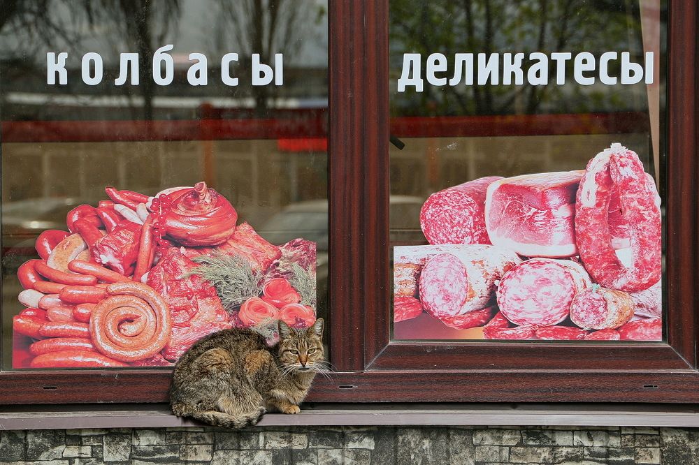 Фотография автора Александр Челмодеев