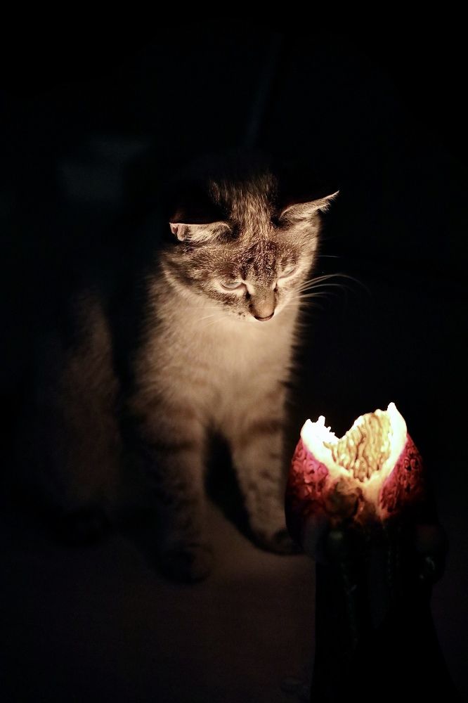 Photograph by Игорь Рязанов