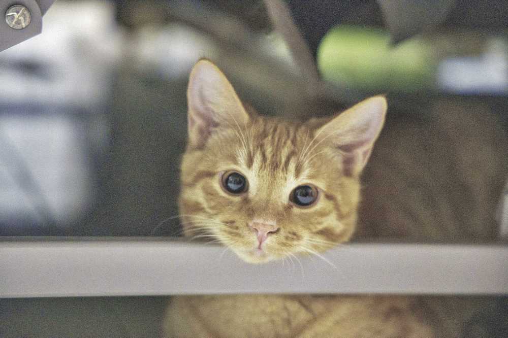 Photograph by Игорь Рязанов