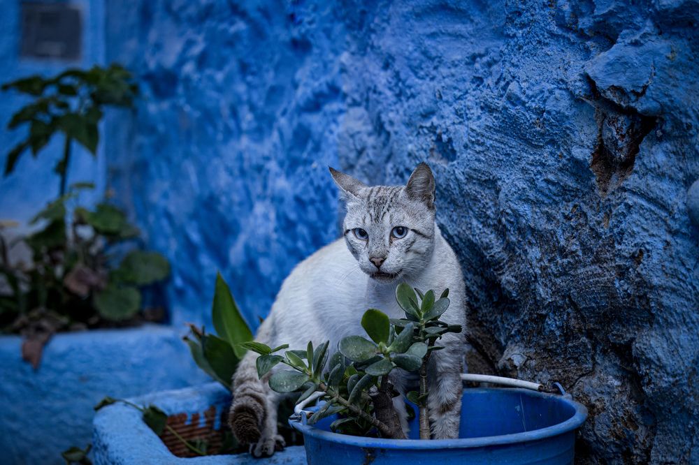 Photograph by Popiyakova Natalia