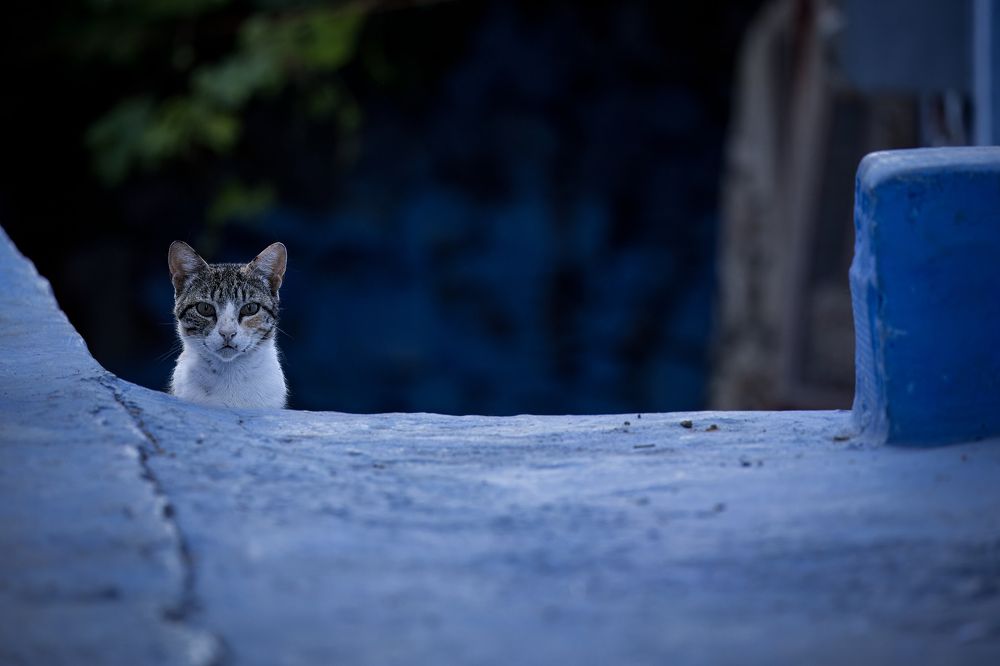 Photograph by Popiyakova Natalia