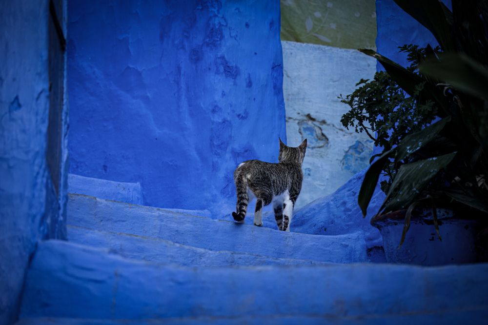 Photograph by Popiyakova Natalia