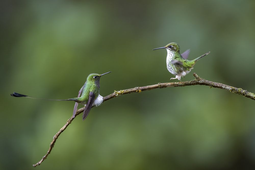 Photograph by Burgalin Sequeira Fernando