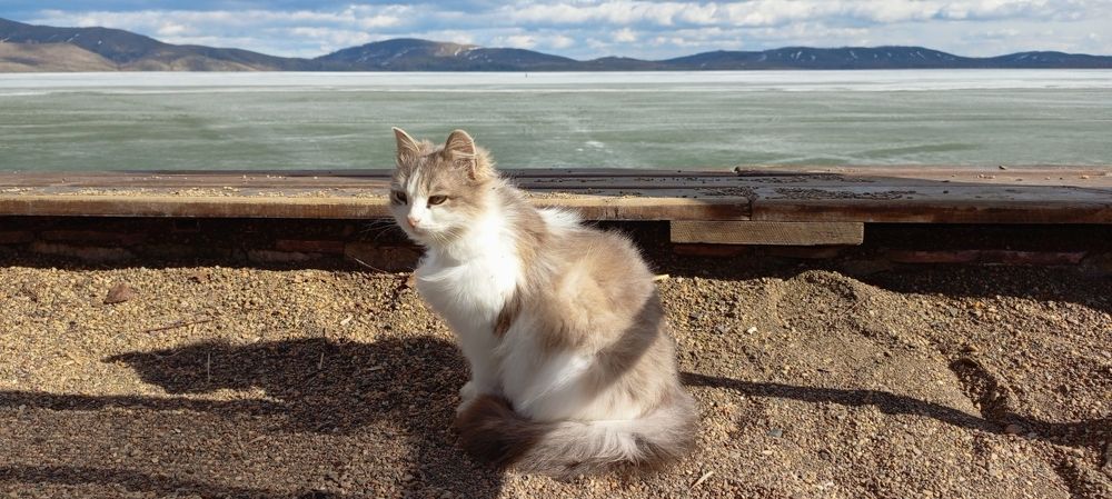 Photograph by Алена Марченко