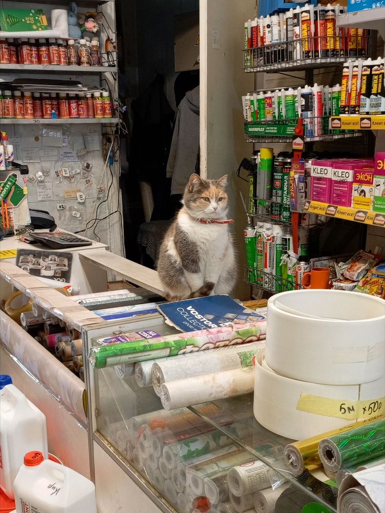 Photograph by Алена Марченко