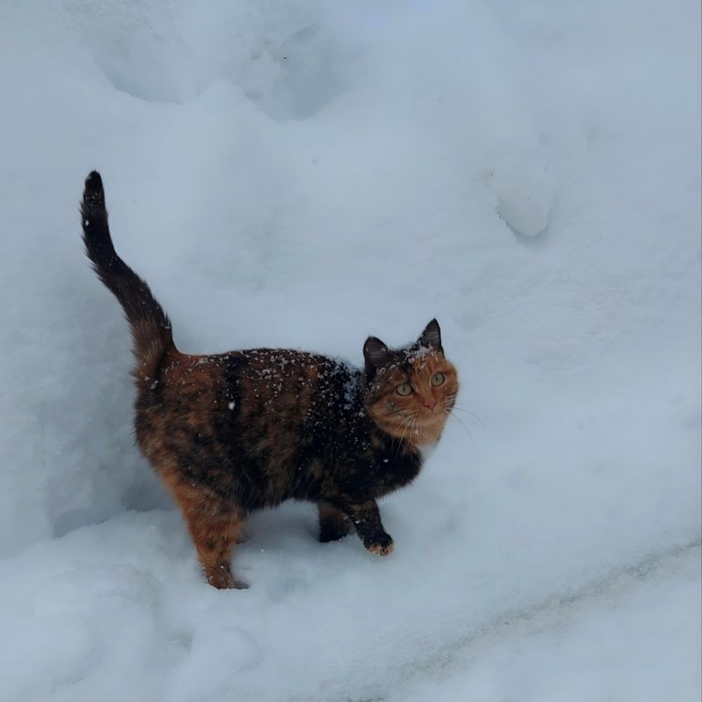 Photograph by Алена Марченко