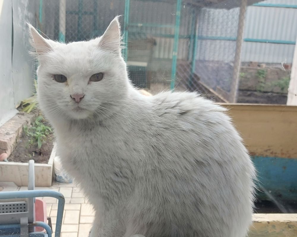 Photograph by Алена Марченко