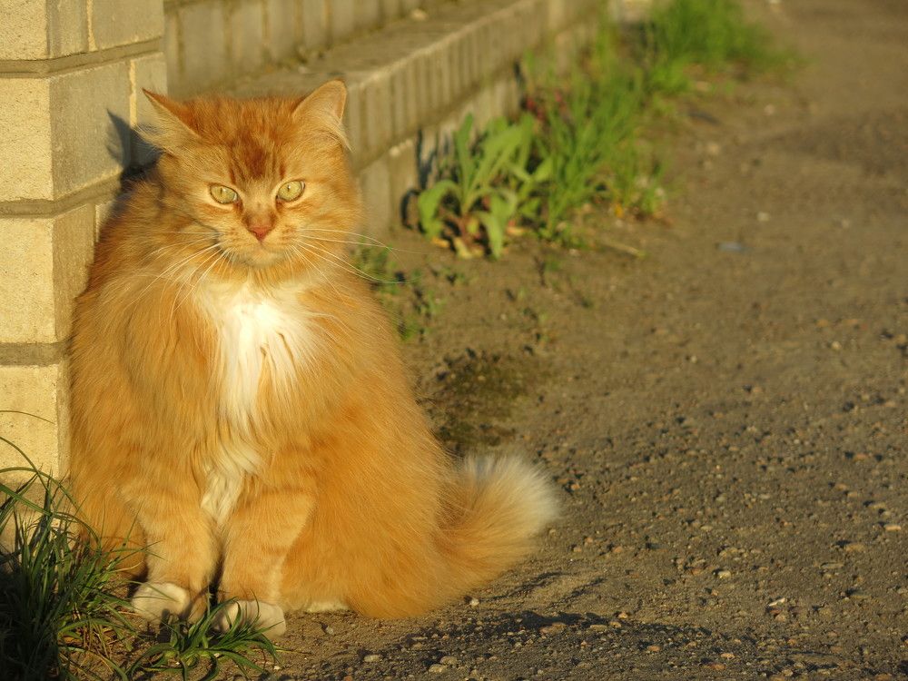 Photograph by ЭЛЬМИРА  ИСМАИЛОВА