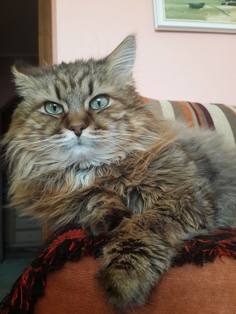 Photograph by Александра Ворона