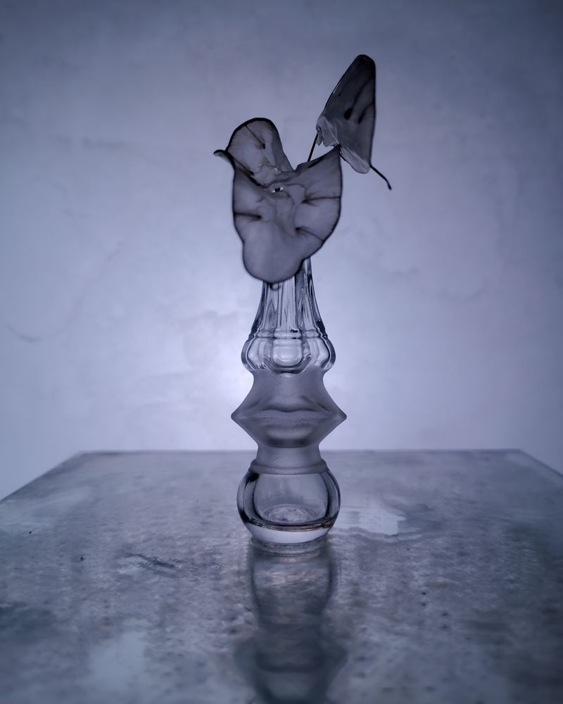 Photograph by Наталья Балабанова