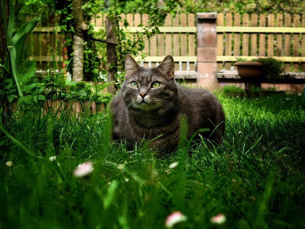 Фотография автора Andraz