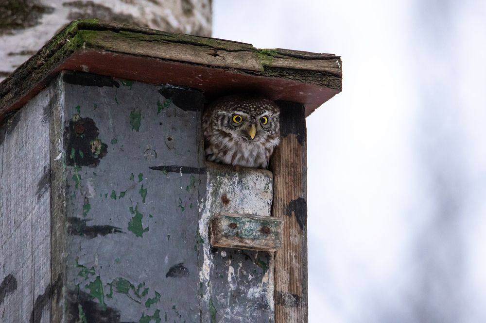 Photograph by Илья Юфа