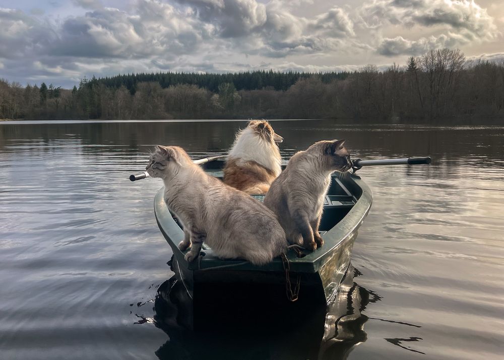 Photograph by LYUDMYLA POKRYSHEN