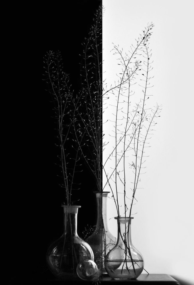 Photograph by Александр Зарх