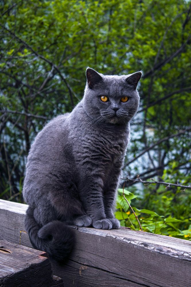 Photograph by Мария Корнилова