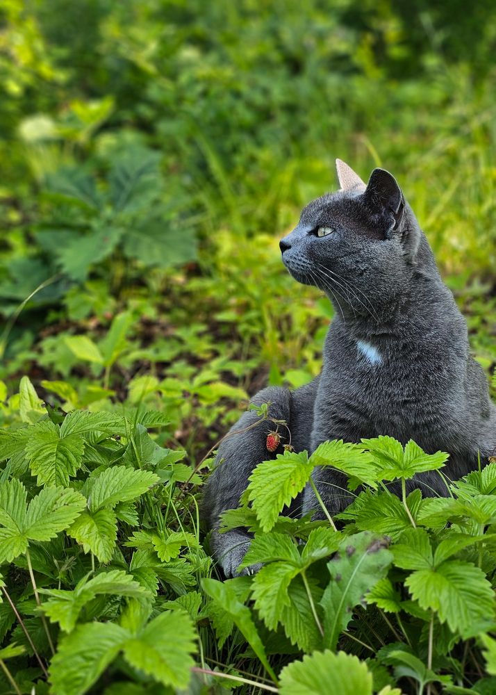 Photograph by Мария Корнилова