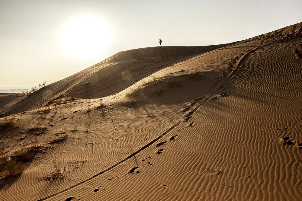 Photograph by Samira sarayani