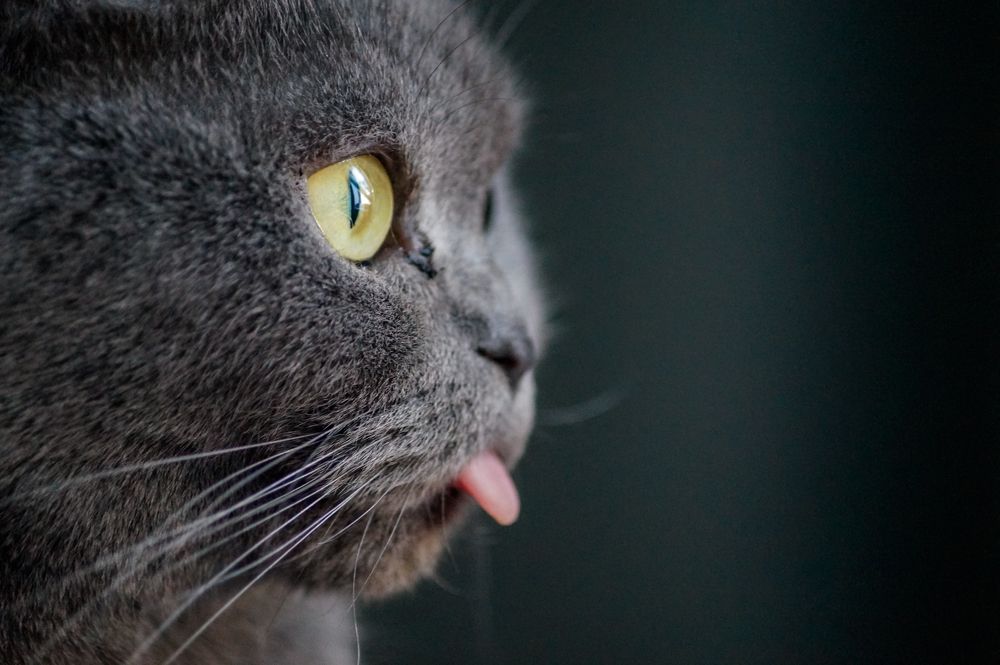 Photograph by Виктор Сёмушкин