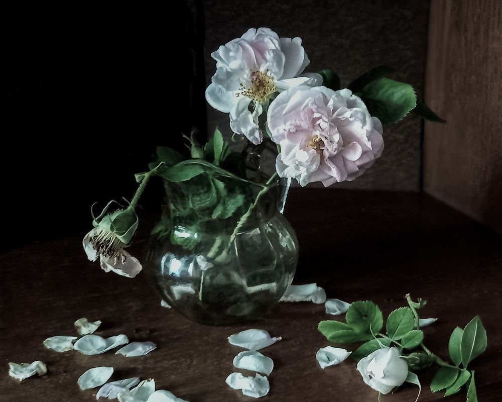 Photograph by Ирина Архипова