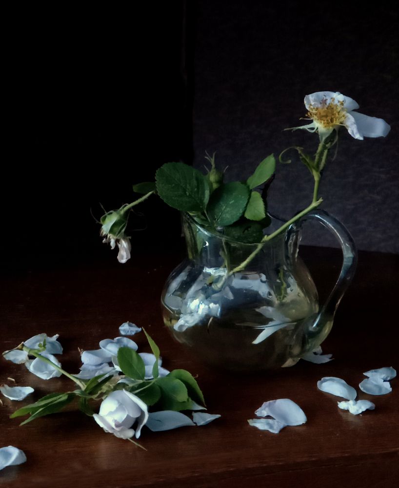 Photograph by Ирина Архипова