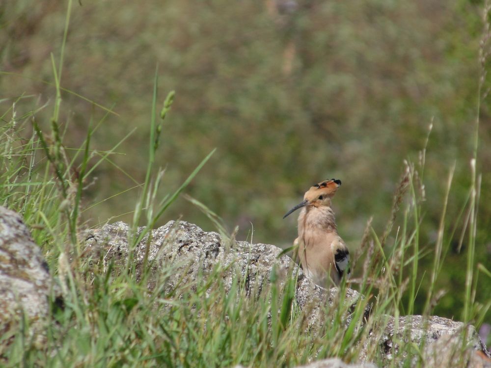 Photograph by Татьяна Стаскевич