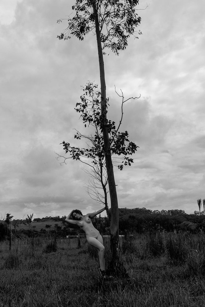 Photograph by Giovanni Gondim de Castro