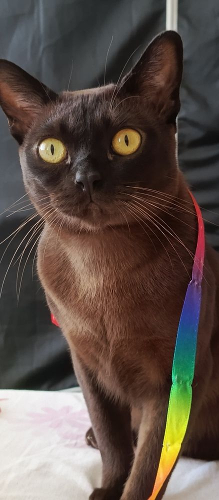 Photograph by Галина Сабитова