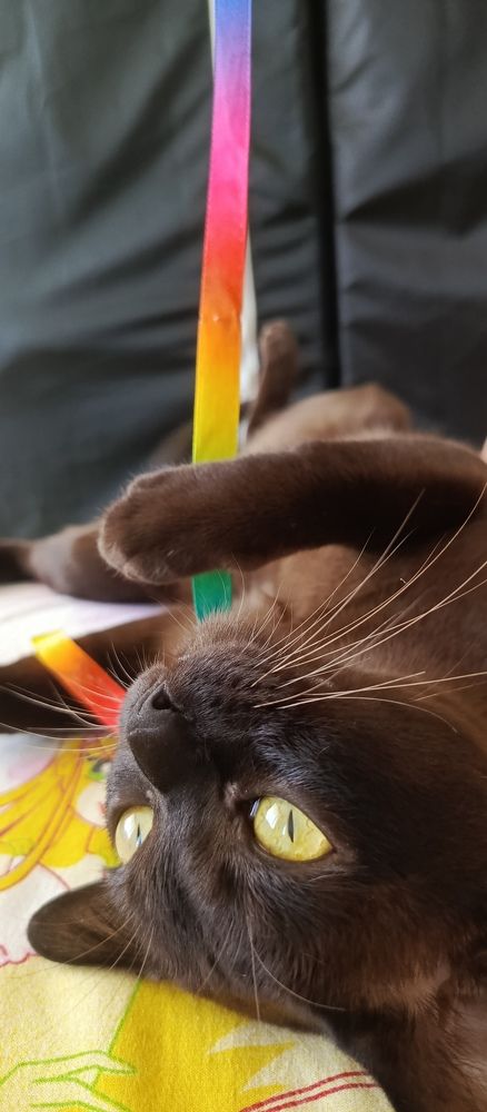 Photograph by Галина Сабитова