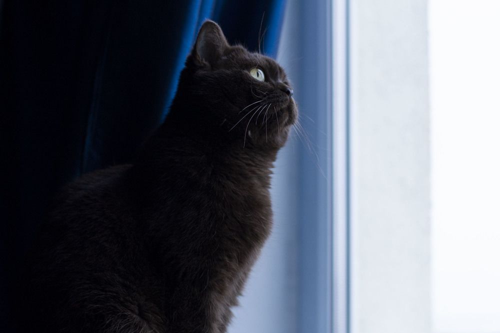 Photograph by Бэла Сердюкова