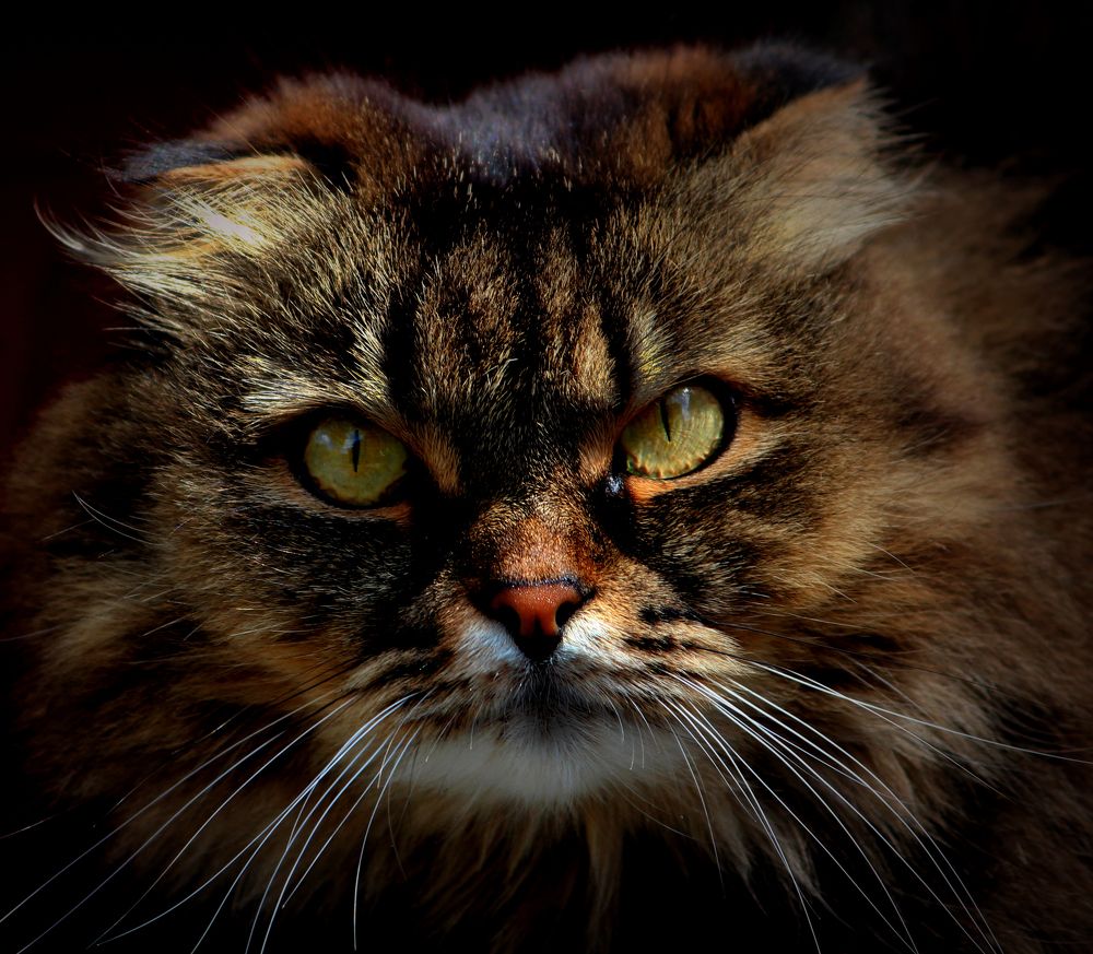 Photograph by Зоя Быкова