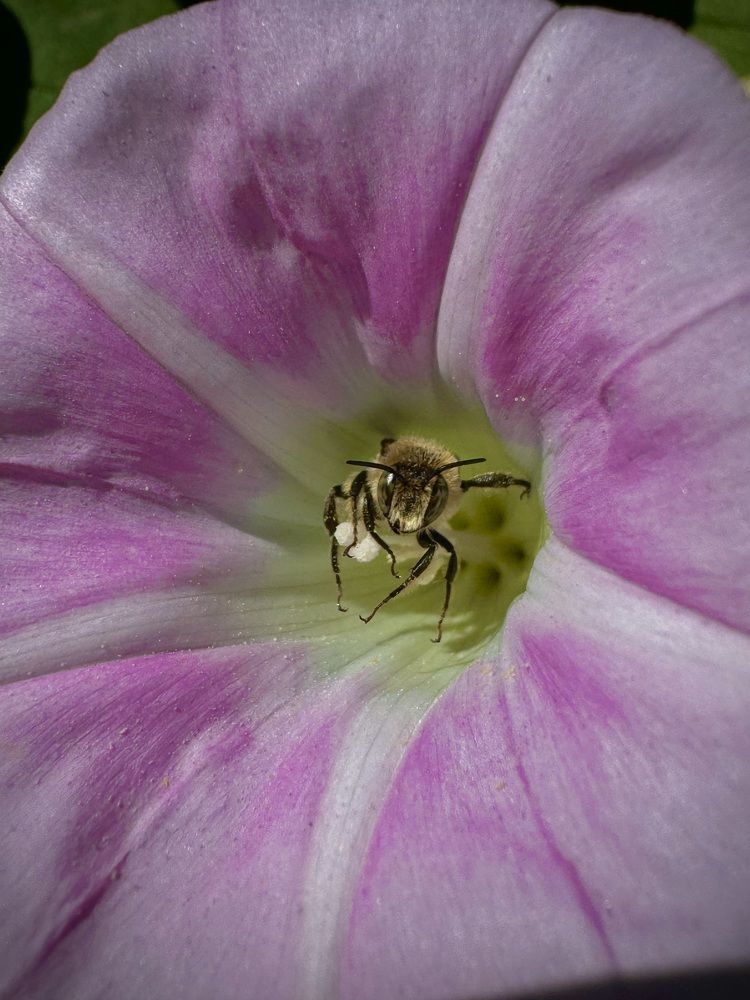 Меня не признают, но я знаю, мы в почёте.