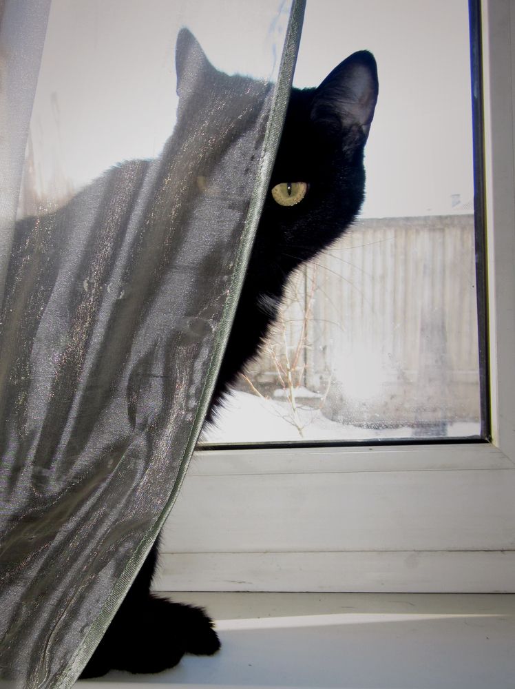 Photograph by Игорь Быков