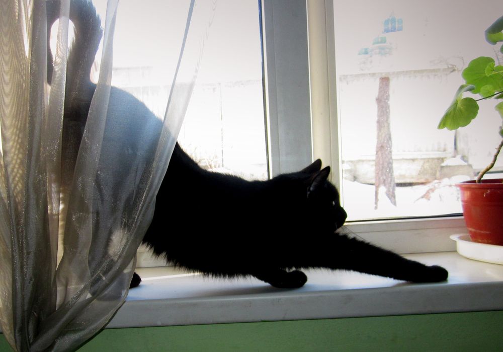 Photograph by Игорь Быков