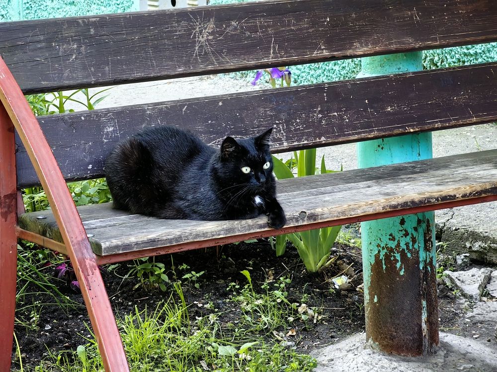 Photograph by Александр Вихарев