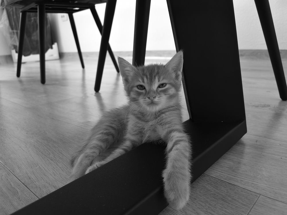 Photograph by Александр Вихарев