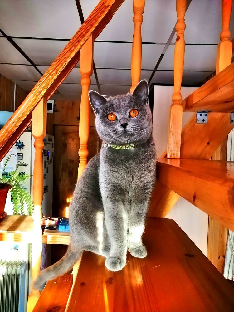 Photograph by Олег Акатьев