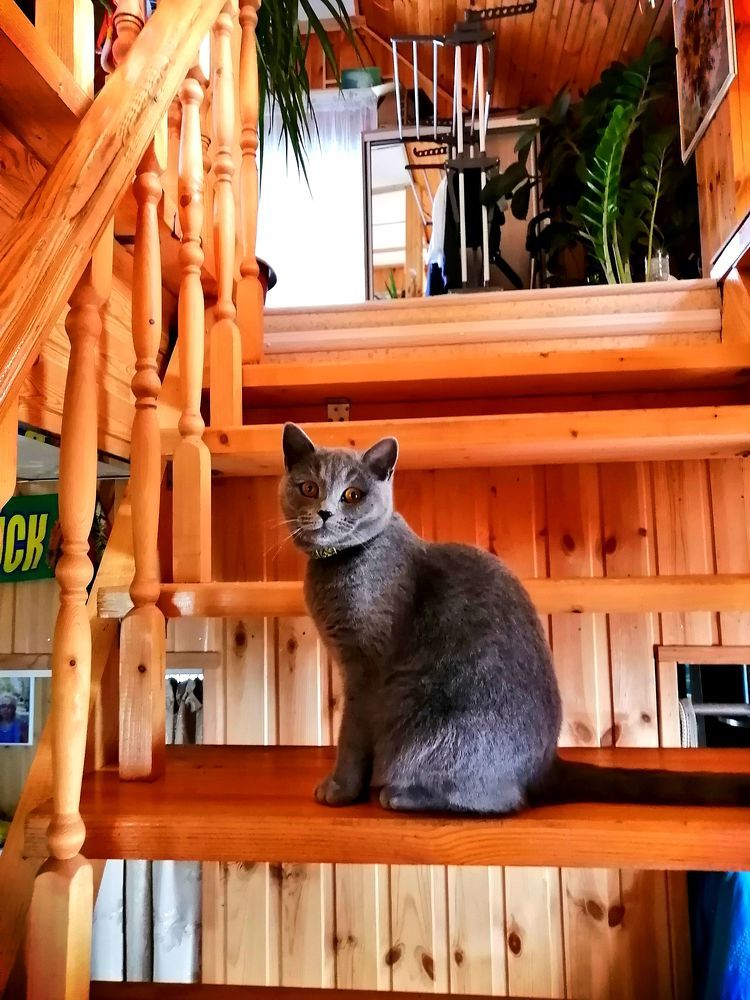 Photograph by Олег Акатьев