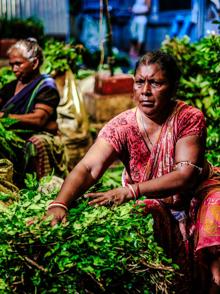 Фотография автора Debapriya Dasgupta