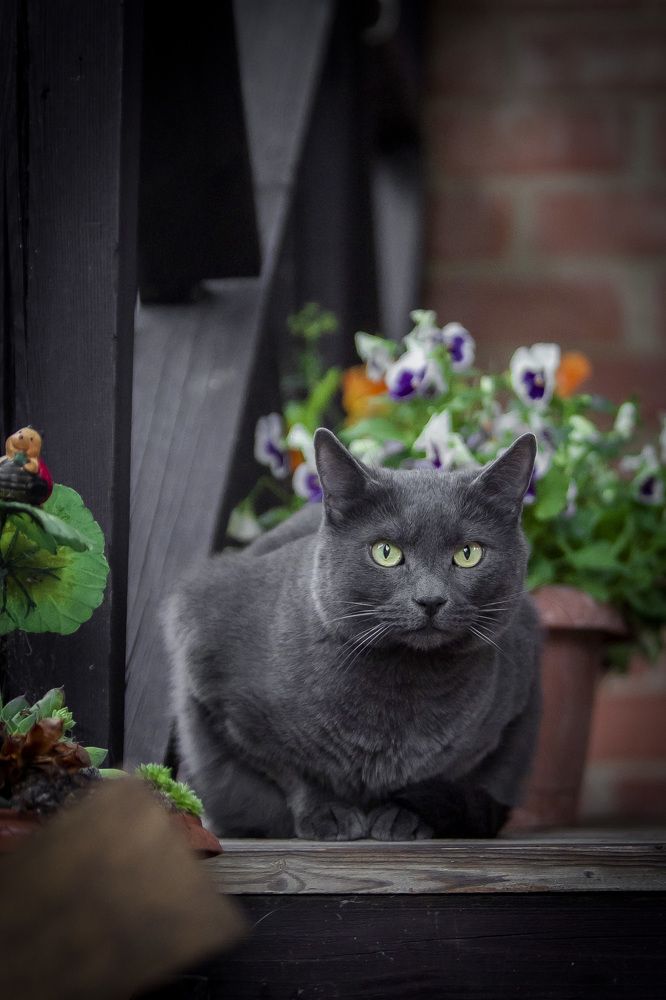 Photograph by Katja Sen