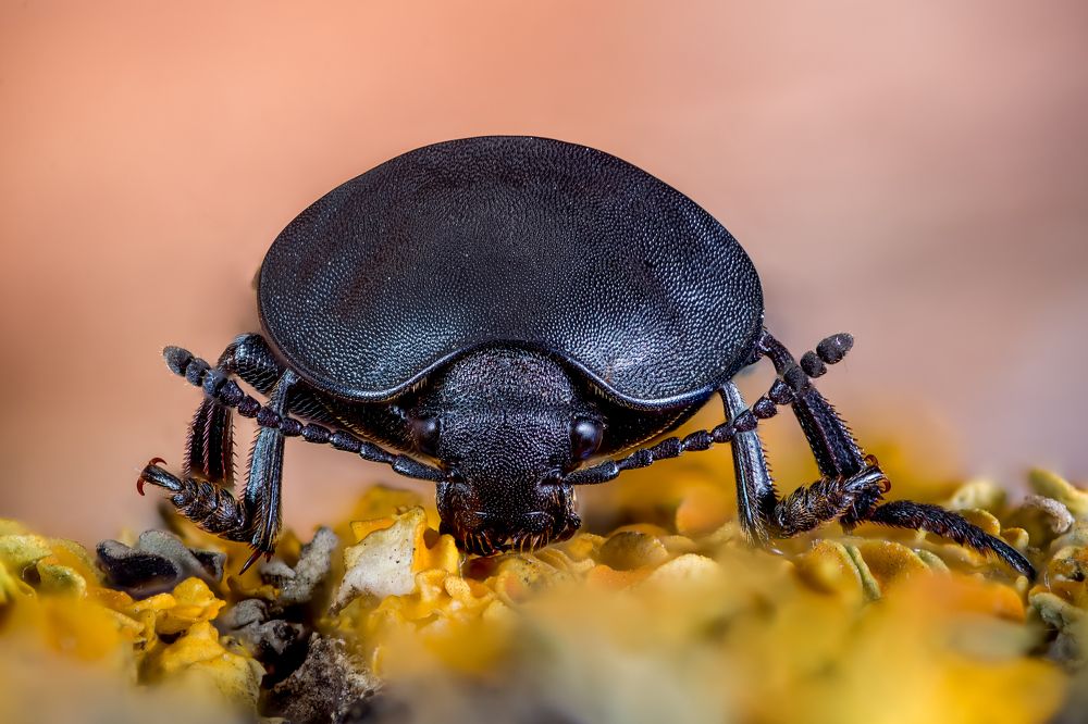 Photograph by Юрий Яковлевич