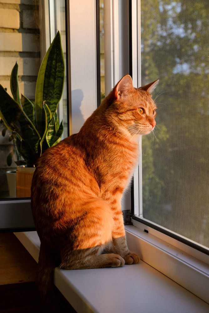 Photograph by Эдуард Шадров