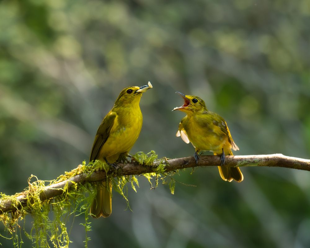 Фотография автора Anandhu M
